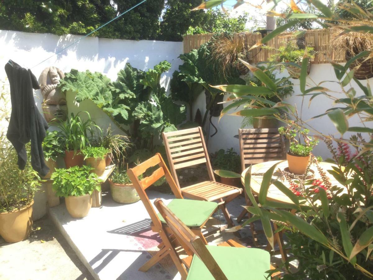 Bambu Cottage New Quay Buitenkant foto