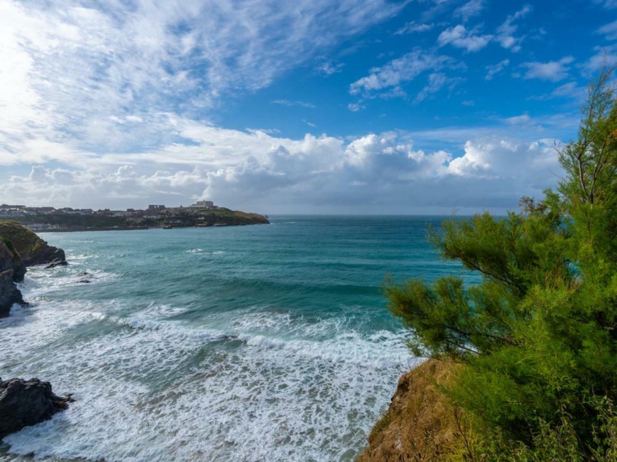 Bambu Cottage New Quay Buitenkant foto